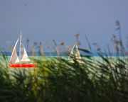 A Balatonnál és a Tisza-tónál is folytatódik a szúnyogirtás