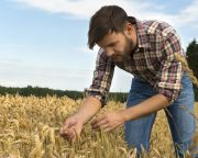  Új lendületet vehet a generációváltás az agráriumban