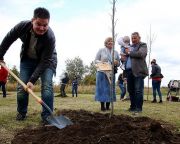 Együttműködik az Agrárminisztérium és az ITM mintegy 650 hektár új erdő létrehozásában