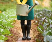 Értékteremtő tevékenységnek tekinti a kiskertek művelését az agrártárca