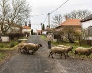 Hamarosan lehet pályázni az Év digitális faluja díjra