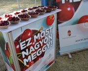 AM: jó minőségű az idei magyar meggy