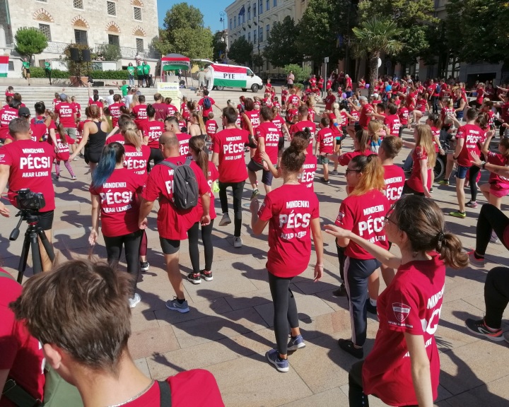 Példaértékű pécsi összefogás a rákgyógyításért