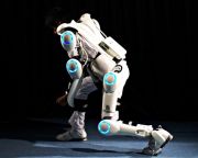 Japán robothét 2012