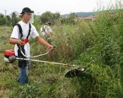 Parlagfűszezon - Hétfőtől helikopterről is ellenőrzik a határt