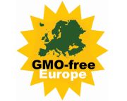 GMO-tilalom: Politikai megállapodás az uniós tagállamok között