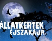 ÉjszakáZOO - Állatkertek éjszakája