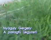 A parlagfű (jegyzet)