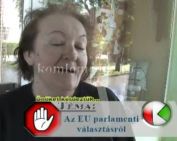 Önöket kérdeztük a lezajlott EU parlamenti választásokról